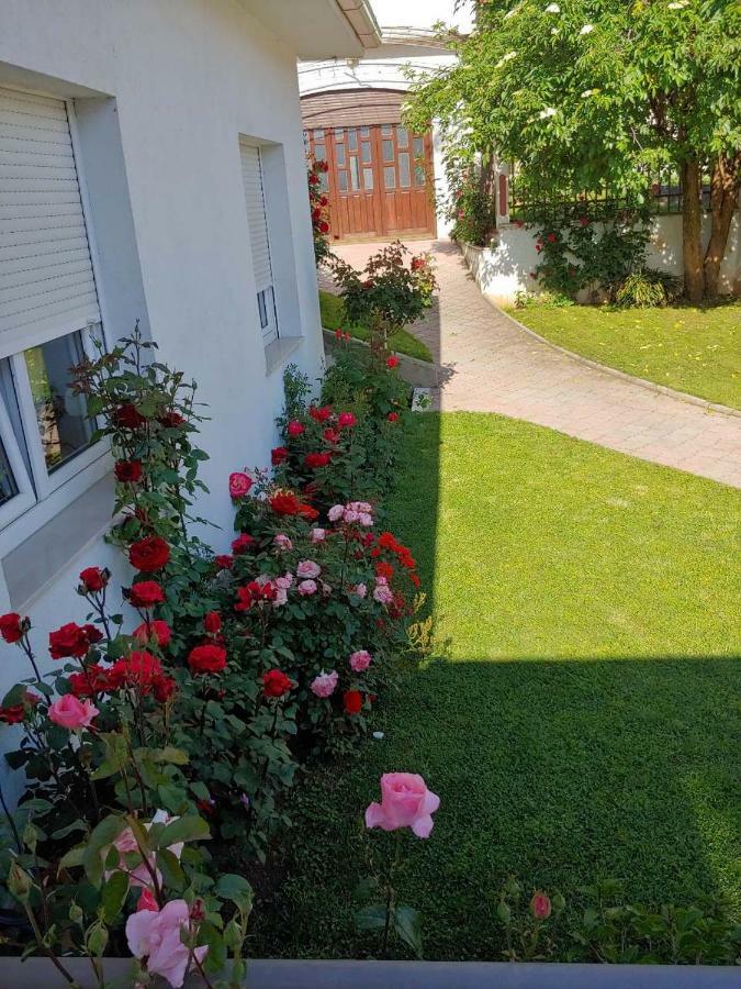 Apartments Tulipan - With Free Private Parking Garage Мостар Екстериор снимка